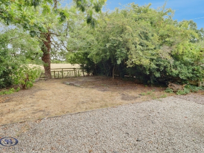 Picture 27